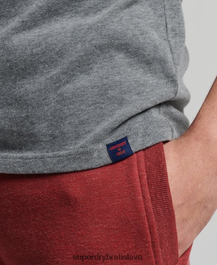 Superdry muži klasické tričko s grafickým logom 6B4ZTR4828 oblečenie sivá
